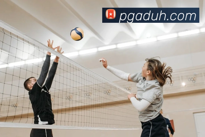 澳门新葡京官方网站发展历程